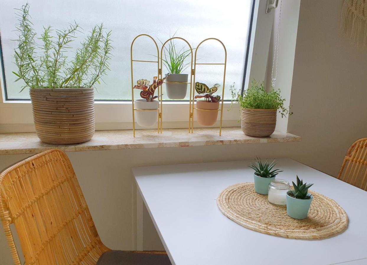 Boho Apartment Olsztyn Bagian luar foto